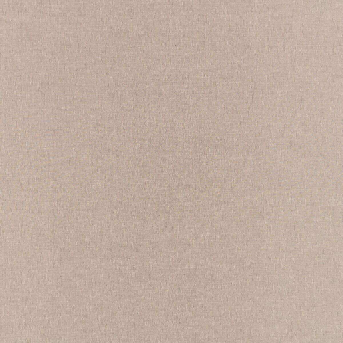 Florence Fabric - Porcini by neutral plain woven fabric from Villa Nova