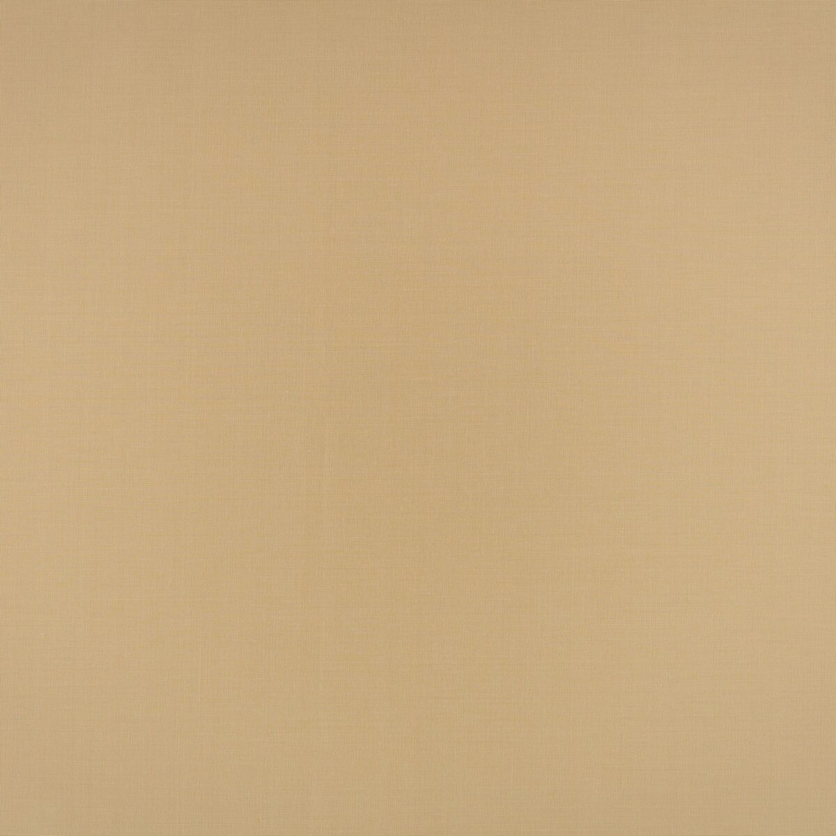 neutral plain woven fabric from Villa Nova