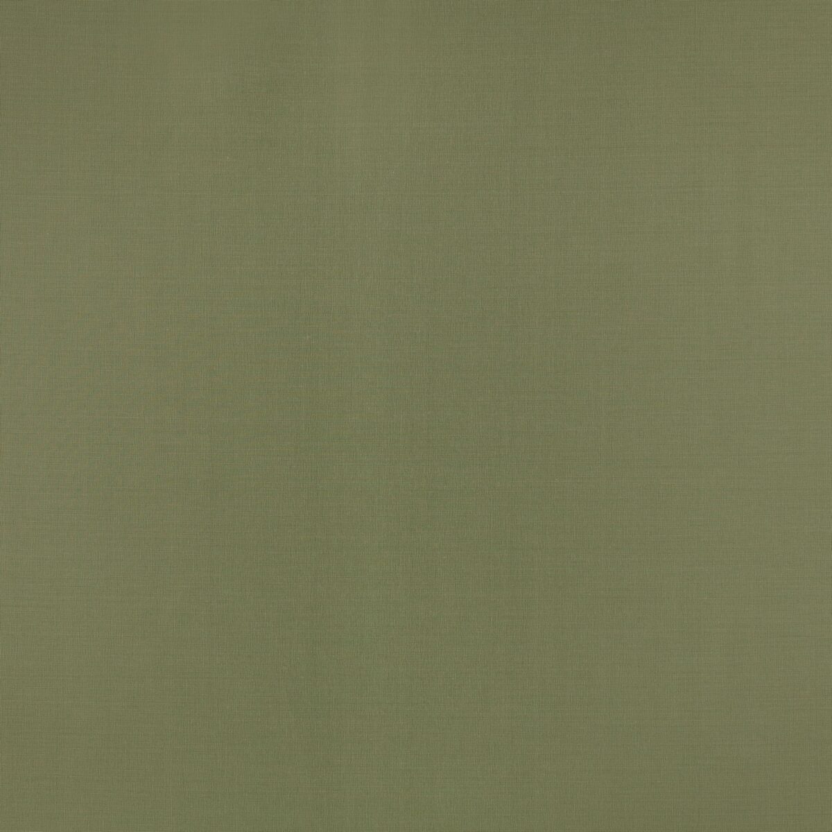 Florence Fabric - Rosemary by green plain woven fabric from Villa Nova