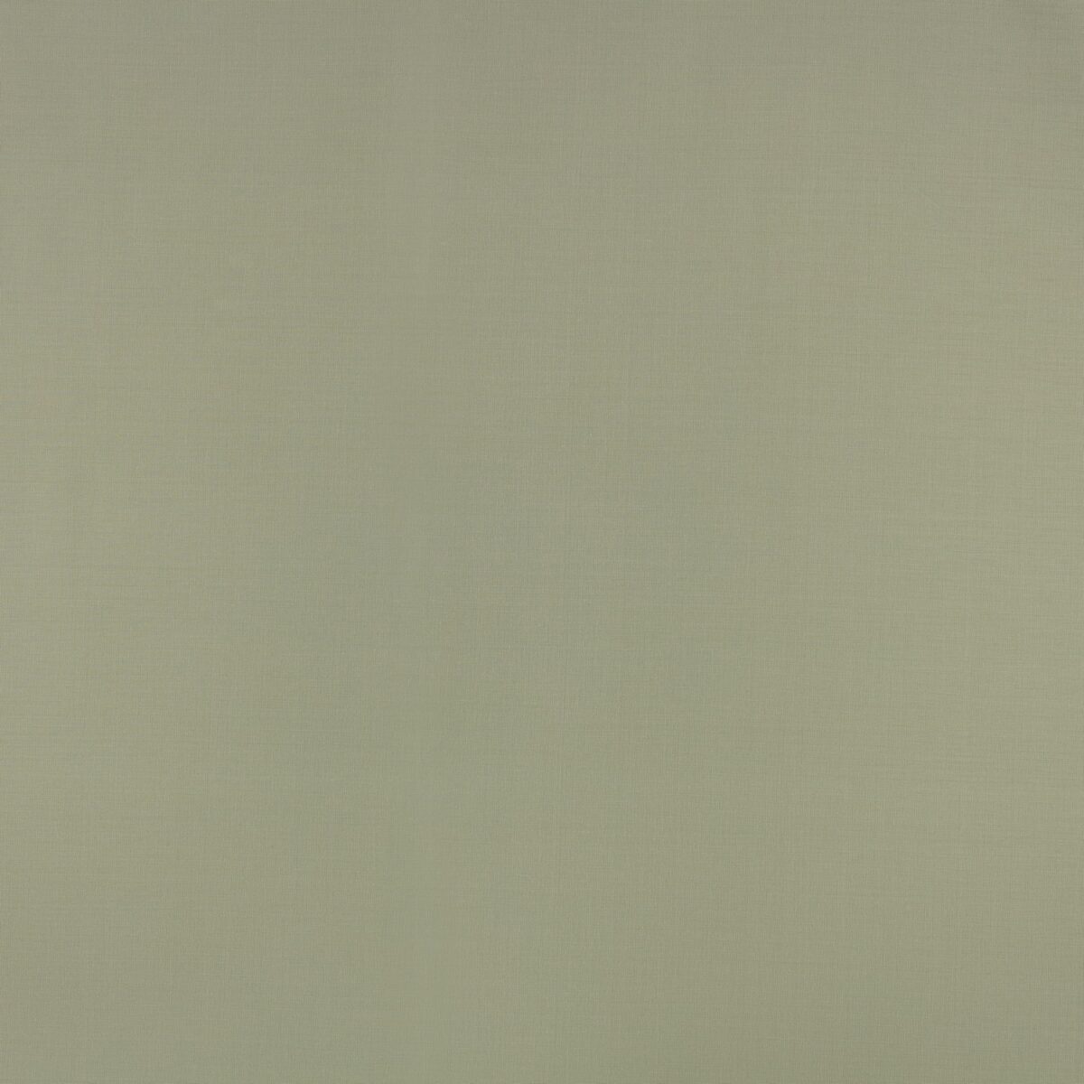 Florence Fabric - Yarrow by green plain woven fabric from Villa Nova