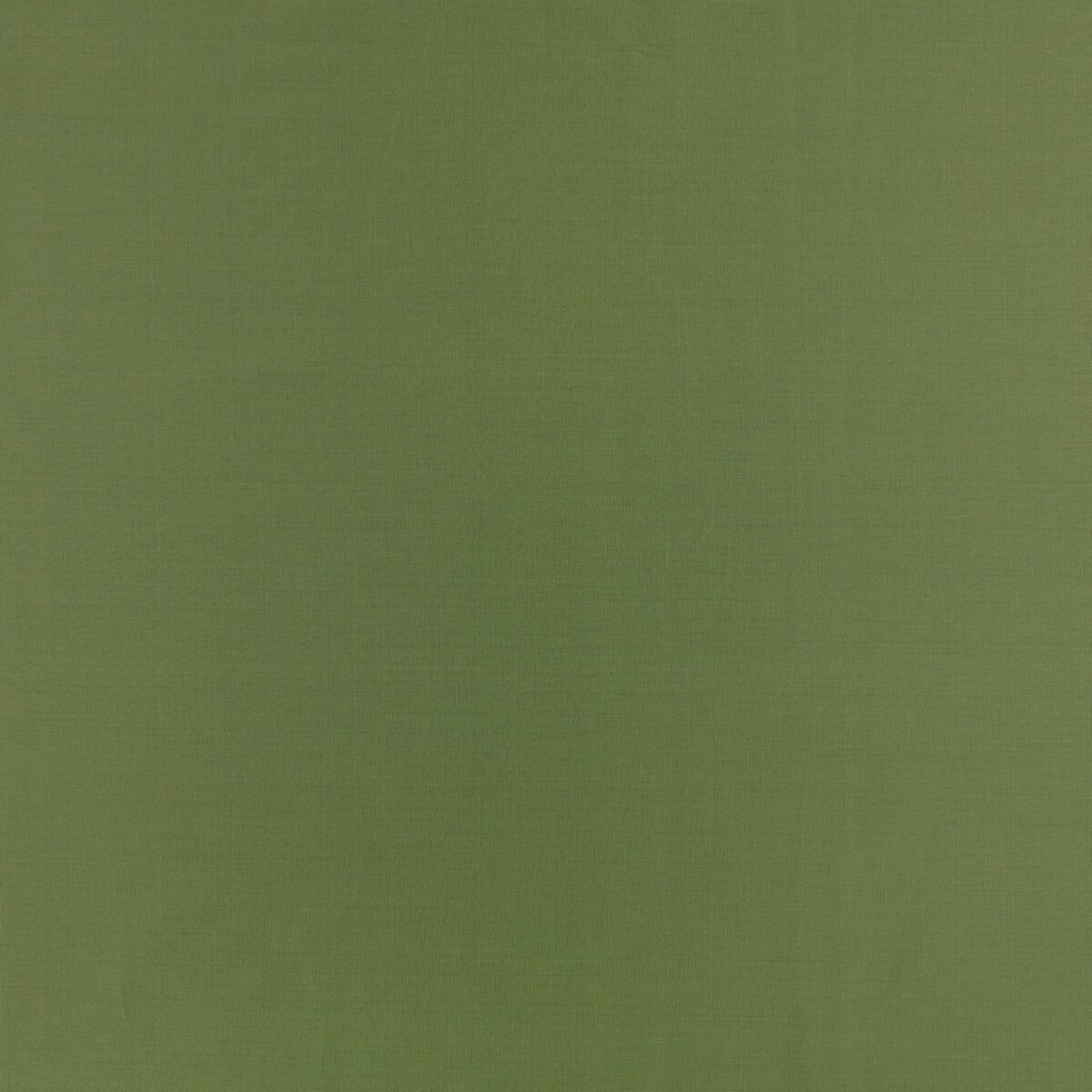 Florence Fabric - Jungle by green plain woven fabric from Villa Nova