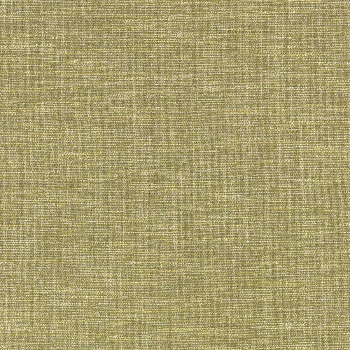 green plain woven fabric from Villa Nova