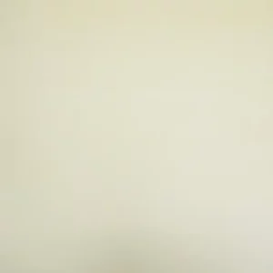 white plain velvet-chenille fabric from Cristina Marrone