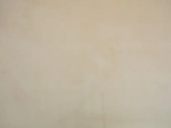 Cambio Fabric - Champagne by neutral plain velvet-chenille fabric from Cristina Marrone