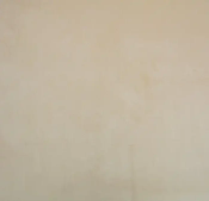 Cambio Fabric - Champagne swatch