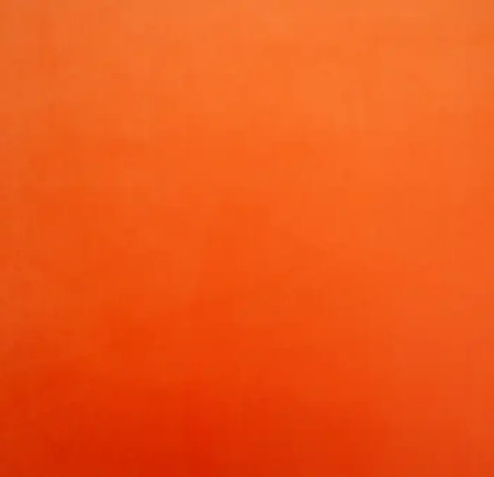 Cambio Fabric - Pumpkin swatch