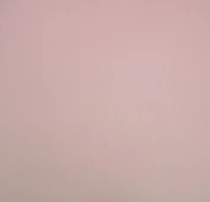 Cambio Fabric - Blush swatch