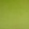 green plain velvet-chenille fabric from Cristina Marrone