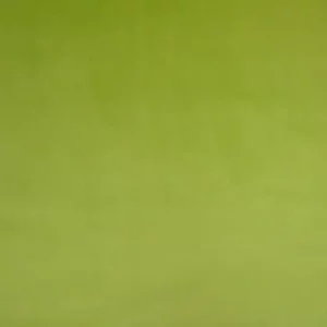 green plain velvet-chenille fabric from Cristina Marrone