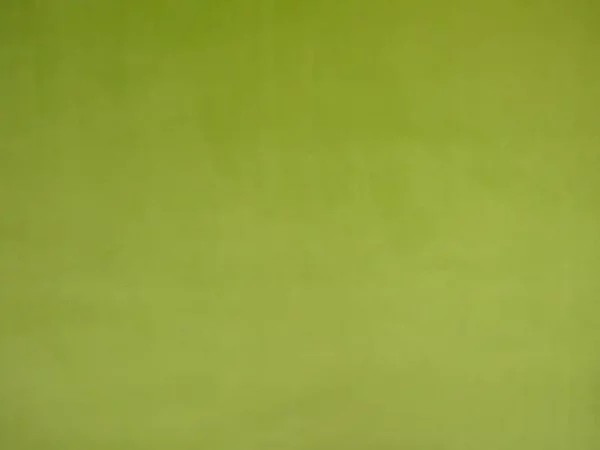 green plain velvet-chenille fabric from Cristina Marrone