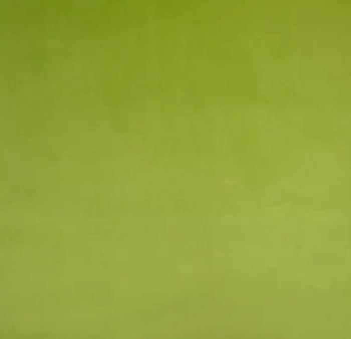 Cambio Fabric - Sage swatch