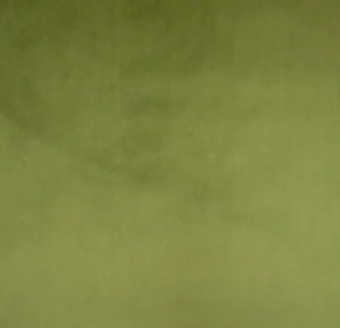 Cambio Fabric - Olive swatch