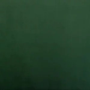 green plain velvet-chenille fabric from Cristina Marrone