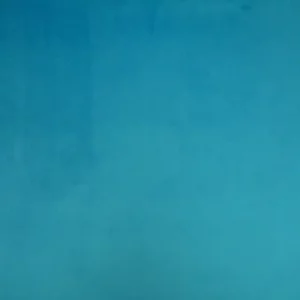 blue plain velvet-chenille fabric from Cristina Marrone