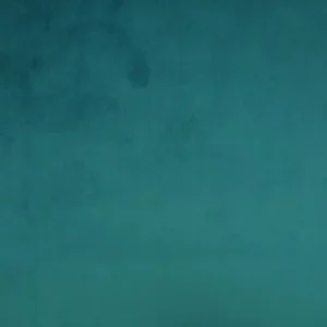 blue plain velvet-chenille fabric from Cristina Marrone