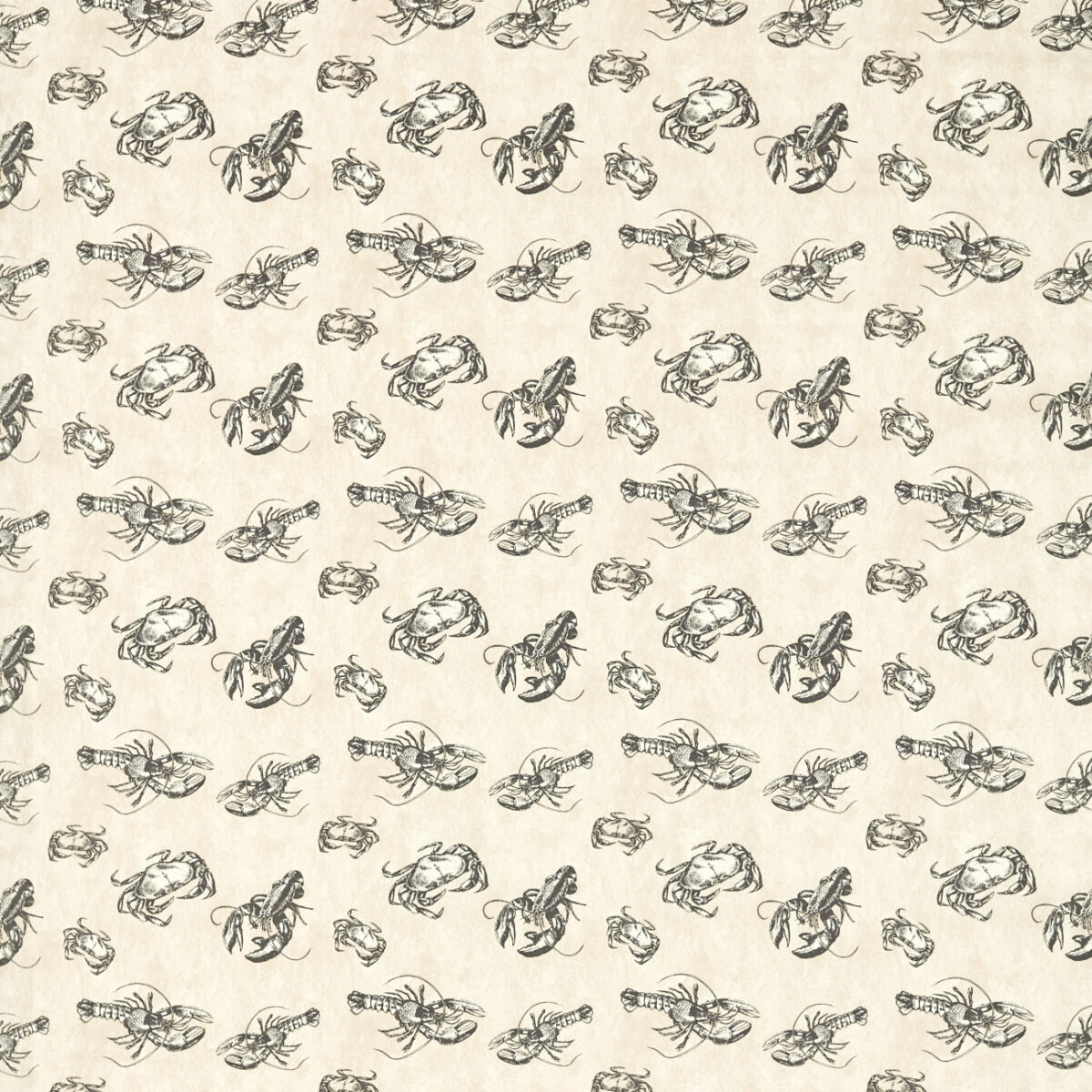 Shellfish Fabric - Charcoal by black-grey animal cotton fabric from Studio G