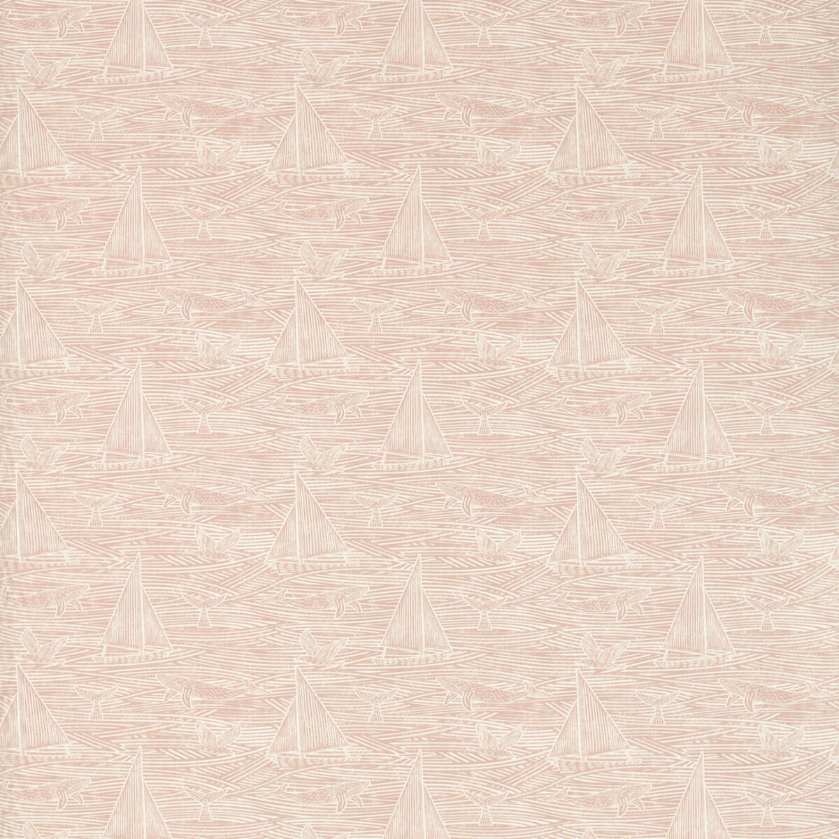 Fin Fabric - Blush by pink misc cotton fabric from Studio G
