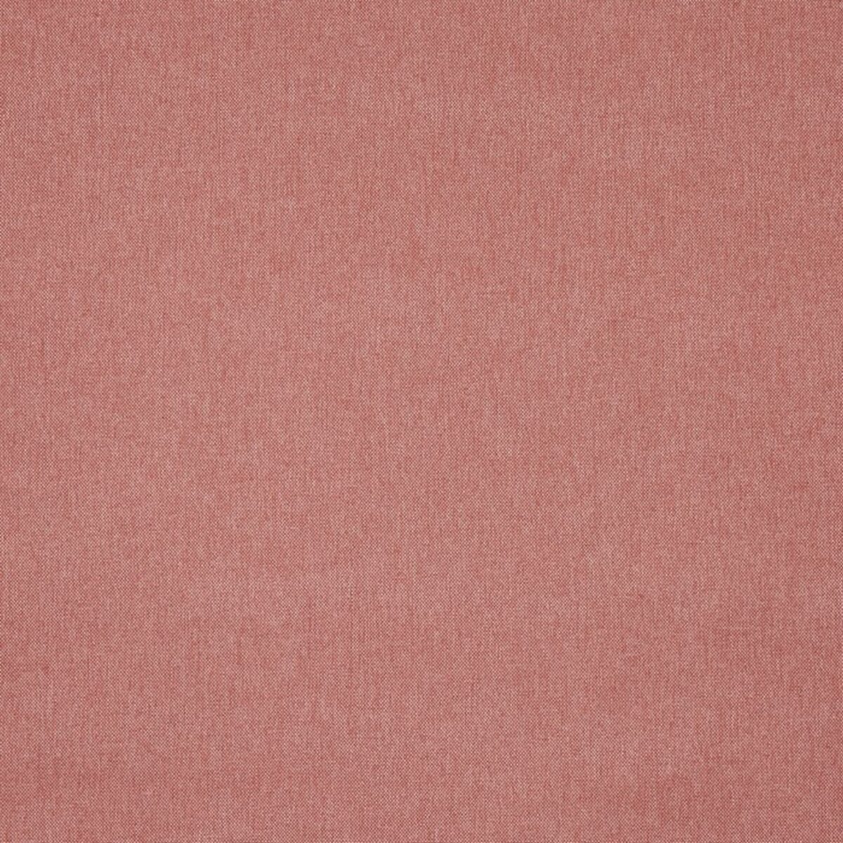Buxton Fabric - Rose by pink plain woven fabric from Prestigious Textiles