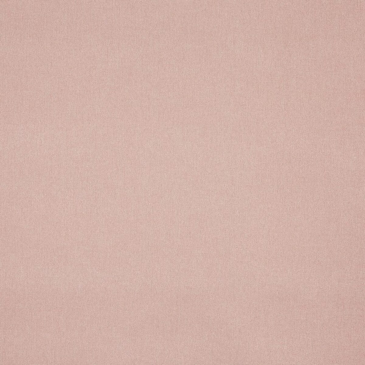 Buxton Fabric - Blush by pink plain woven fabric from Prestigious Textiles