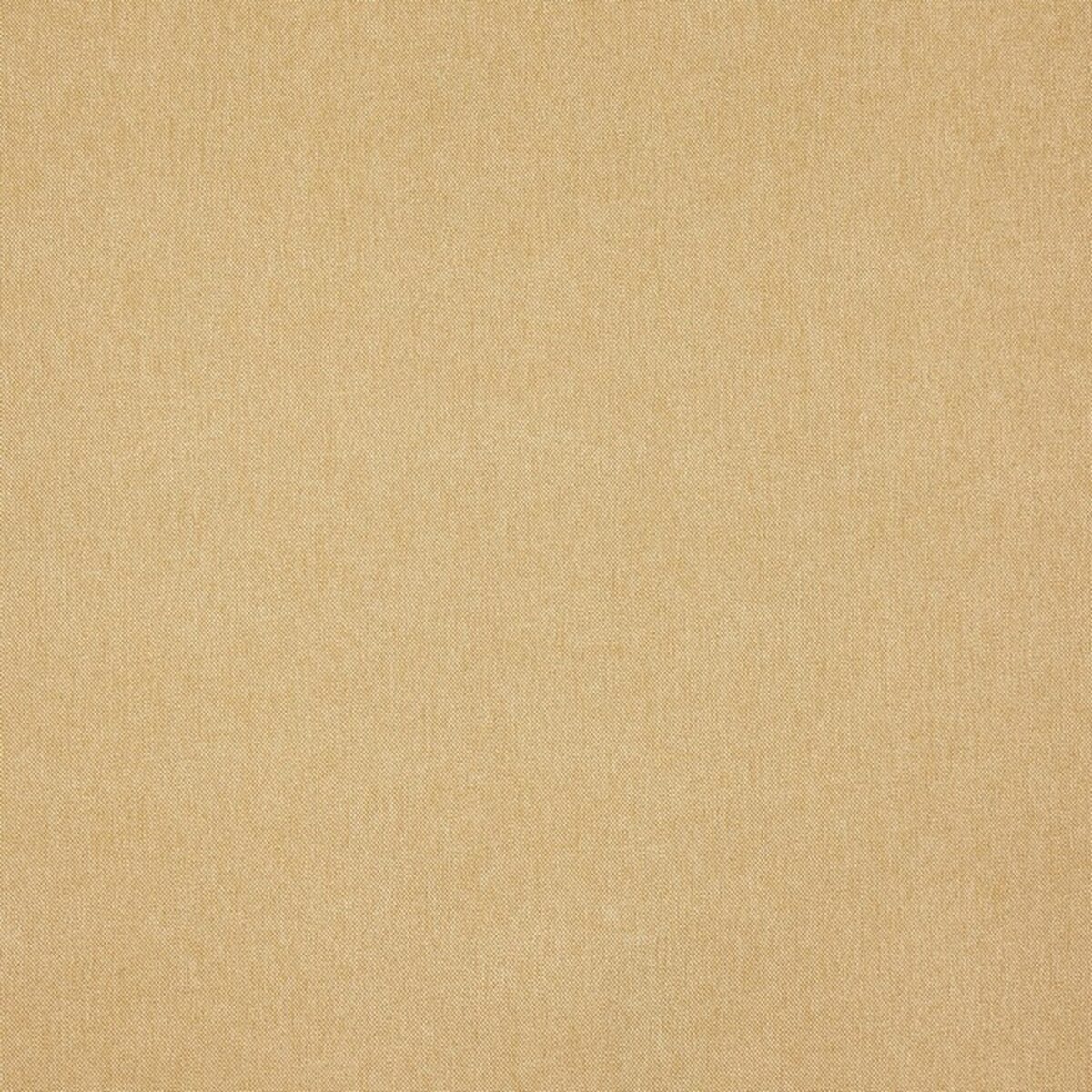 Buxton Fabric - Corn by neutral plain woven fabric from Prestigious Textiles