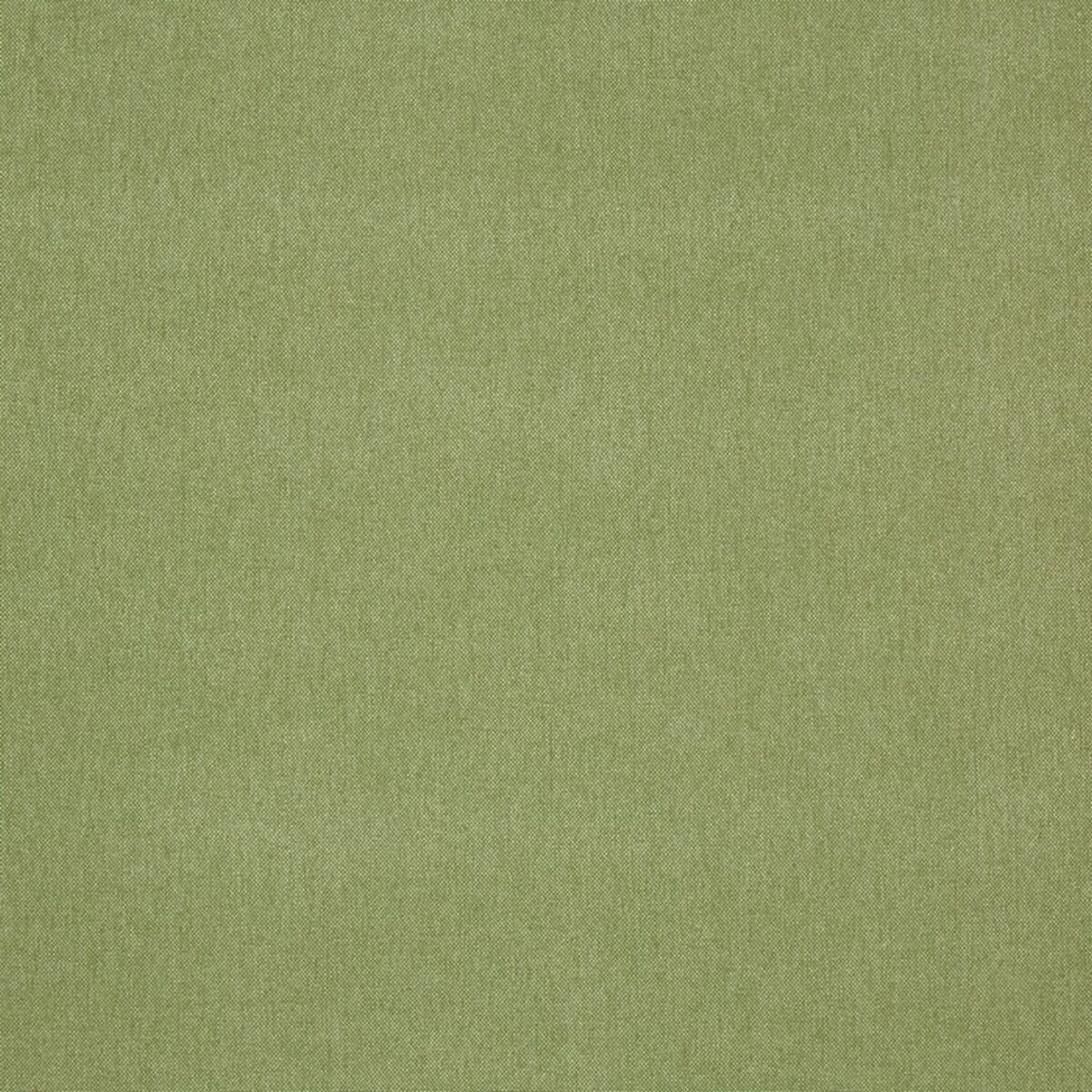 Buxton Fabric - Apple by green plain woven fabric from Prestigious Textiles