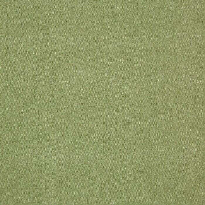 Buxton Fabric - Apple swatch