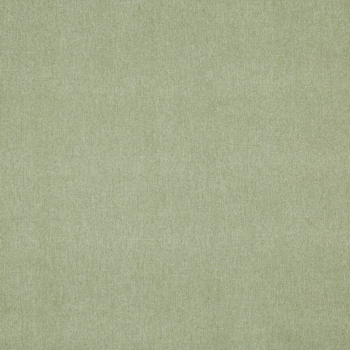 Buxton Fabric - Basil by green plain woven fabric from Prestigious Textiles