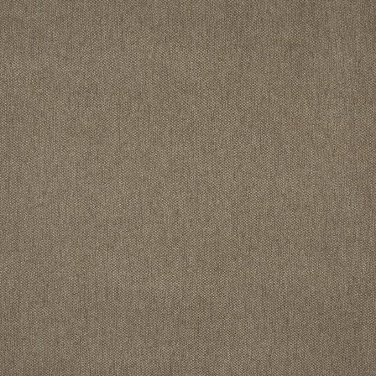 brown plain woven fabric from Prestigious Textiles