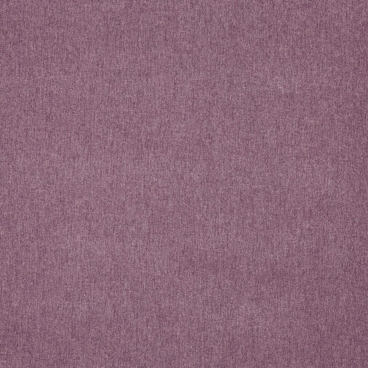 Buxton Fabric - Thistle by purple plain woven fabric from Prestigious Textiles