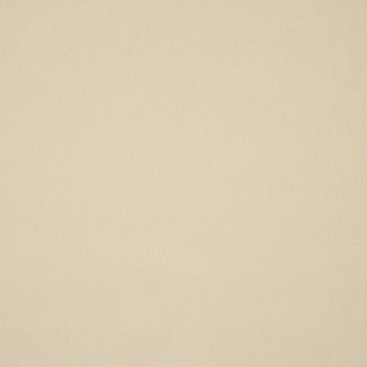Buxton Fabric - Ecru by neutral plain woven fabric from Prestigious Textiles