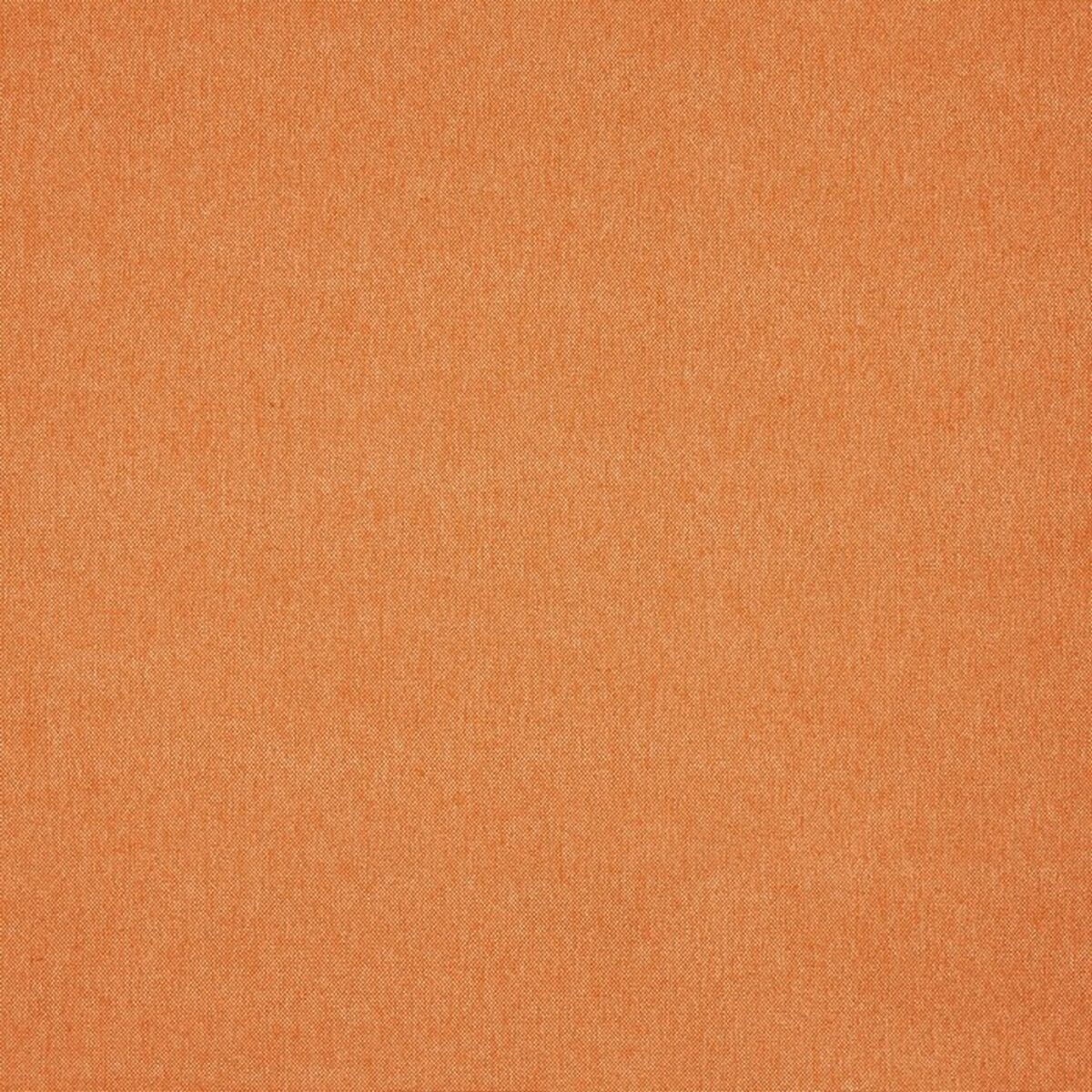 orange plain woven fabric from Prestigious Textiles
