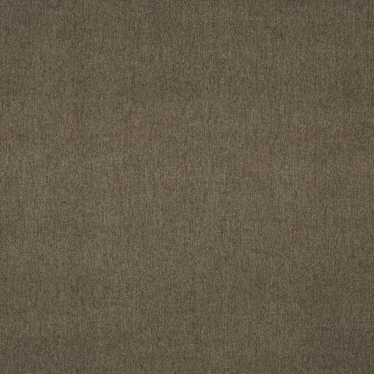 Buxton Fabric - Espresso by brown plain woven fabric from Prestigious Textiles