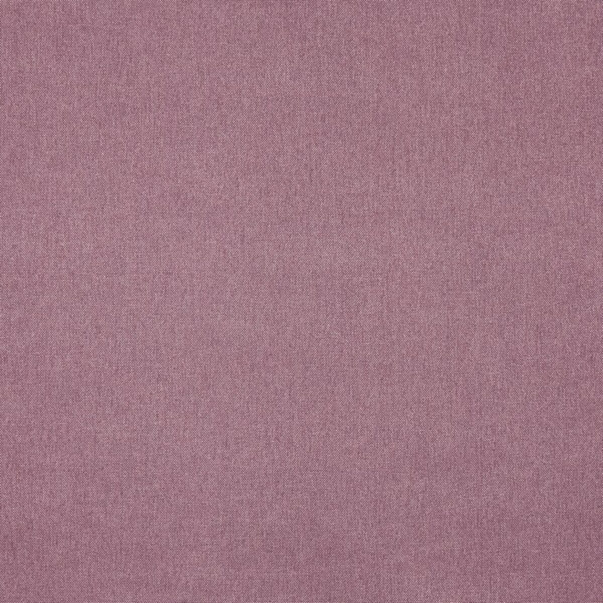 Buxton Fabric - Heather by purple plain woven fabric from Prestigious Textiles