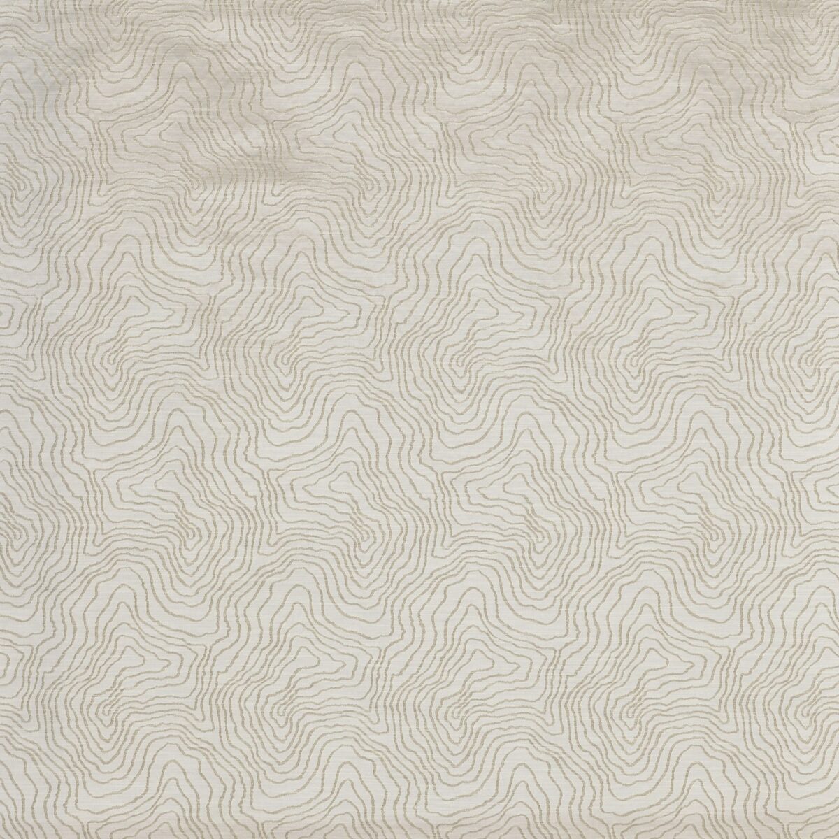 Beau Fabric - Parchment by black-grey contemporary jacquard fabric from Prestigious Textiles