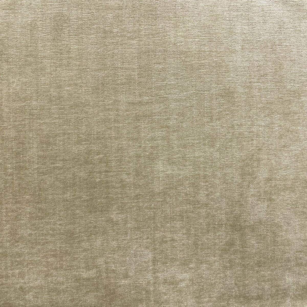 neutral plain velvet-chenille fabric from Cristina Marrone