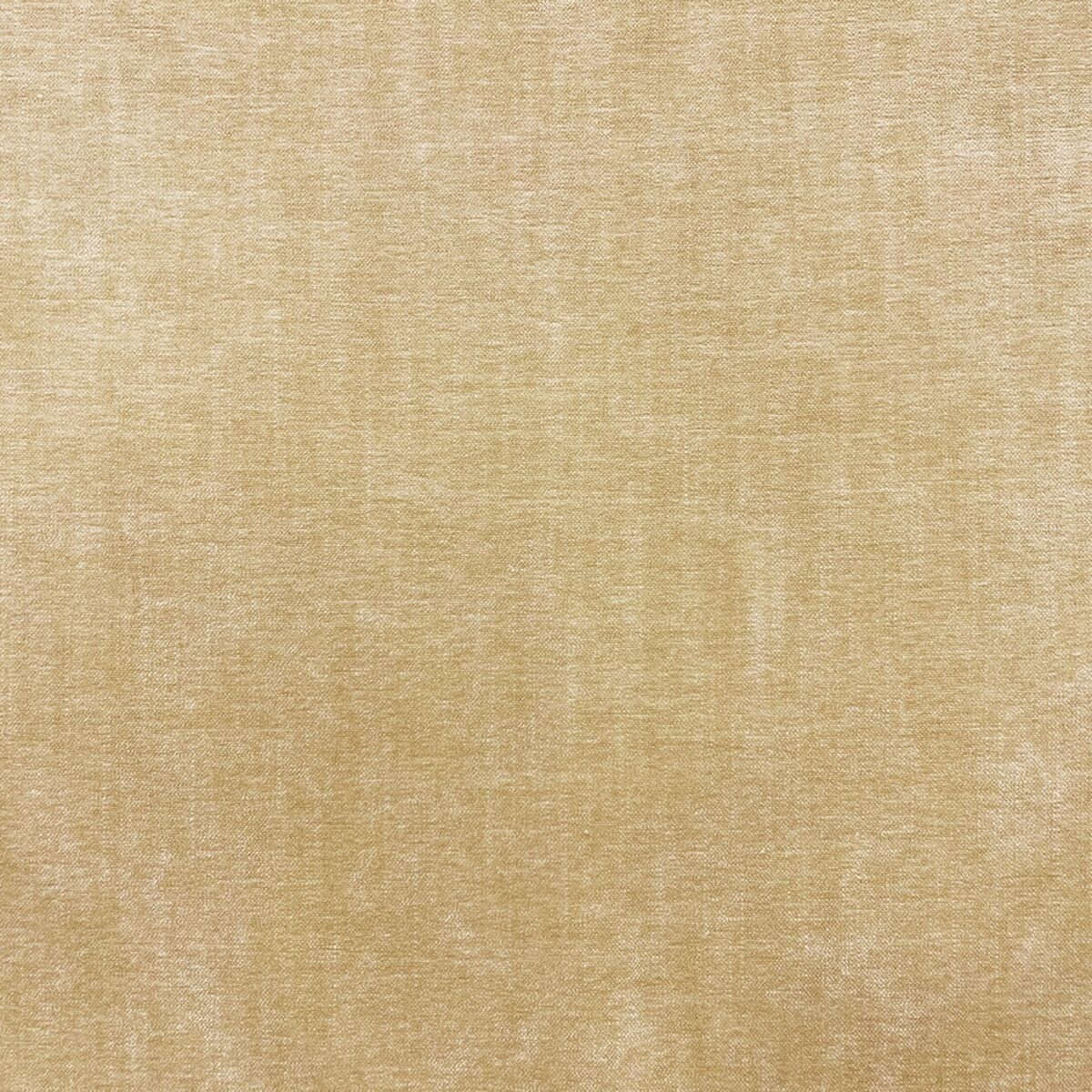 neutral plain velvet-chenille fabric from Cristina Marrone