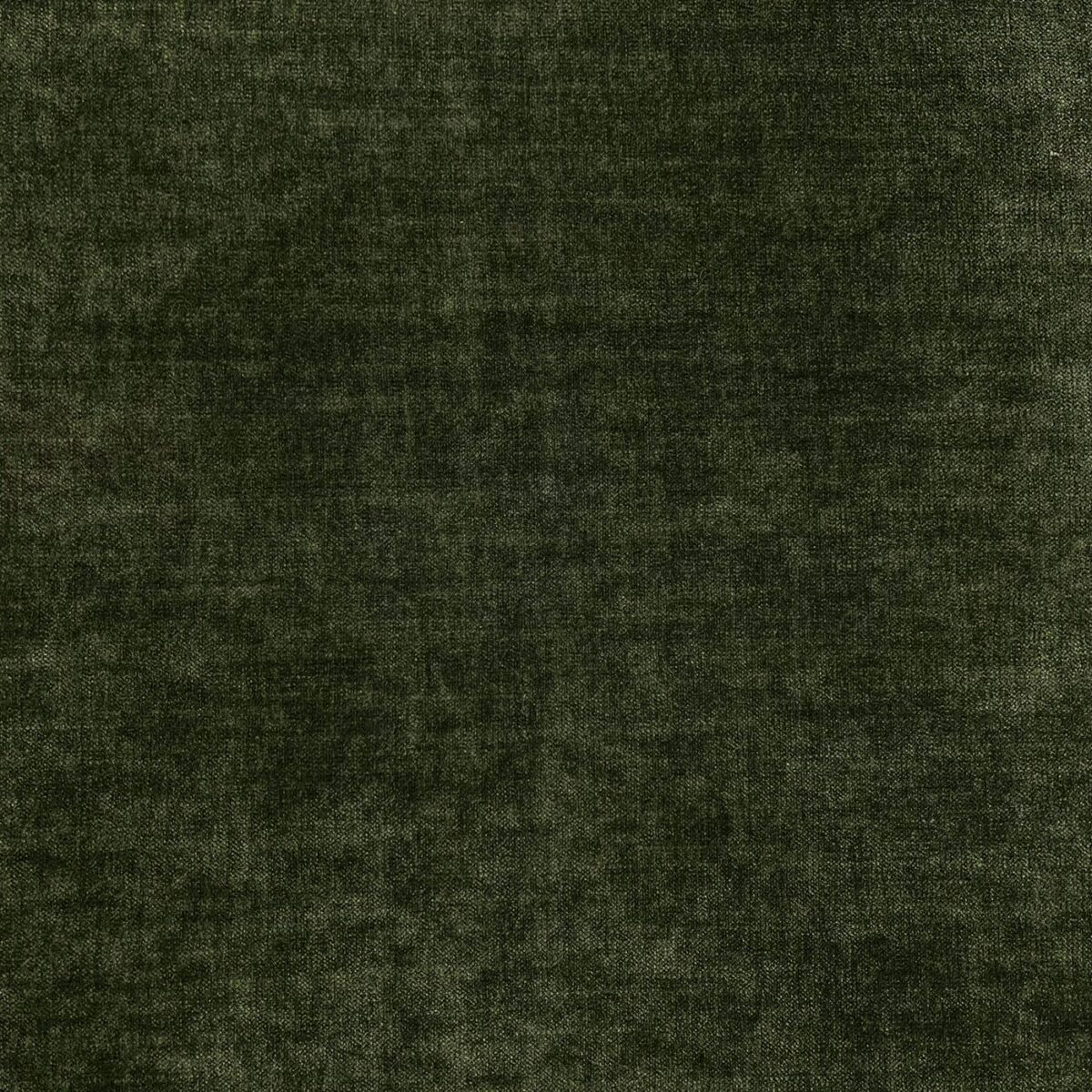 green plain velvet-chenille fabric from Cristina Marrone