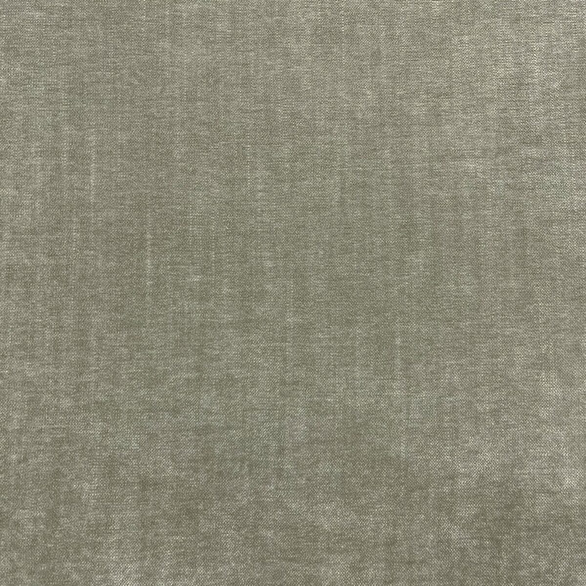 black-grey plain velvet-chenille fabric from Cristina Marrone