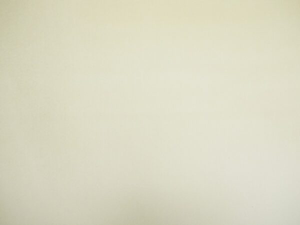 Cambio Fabric - Oyster by Cambio Fabric - Oyster from
