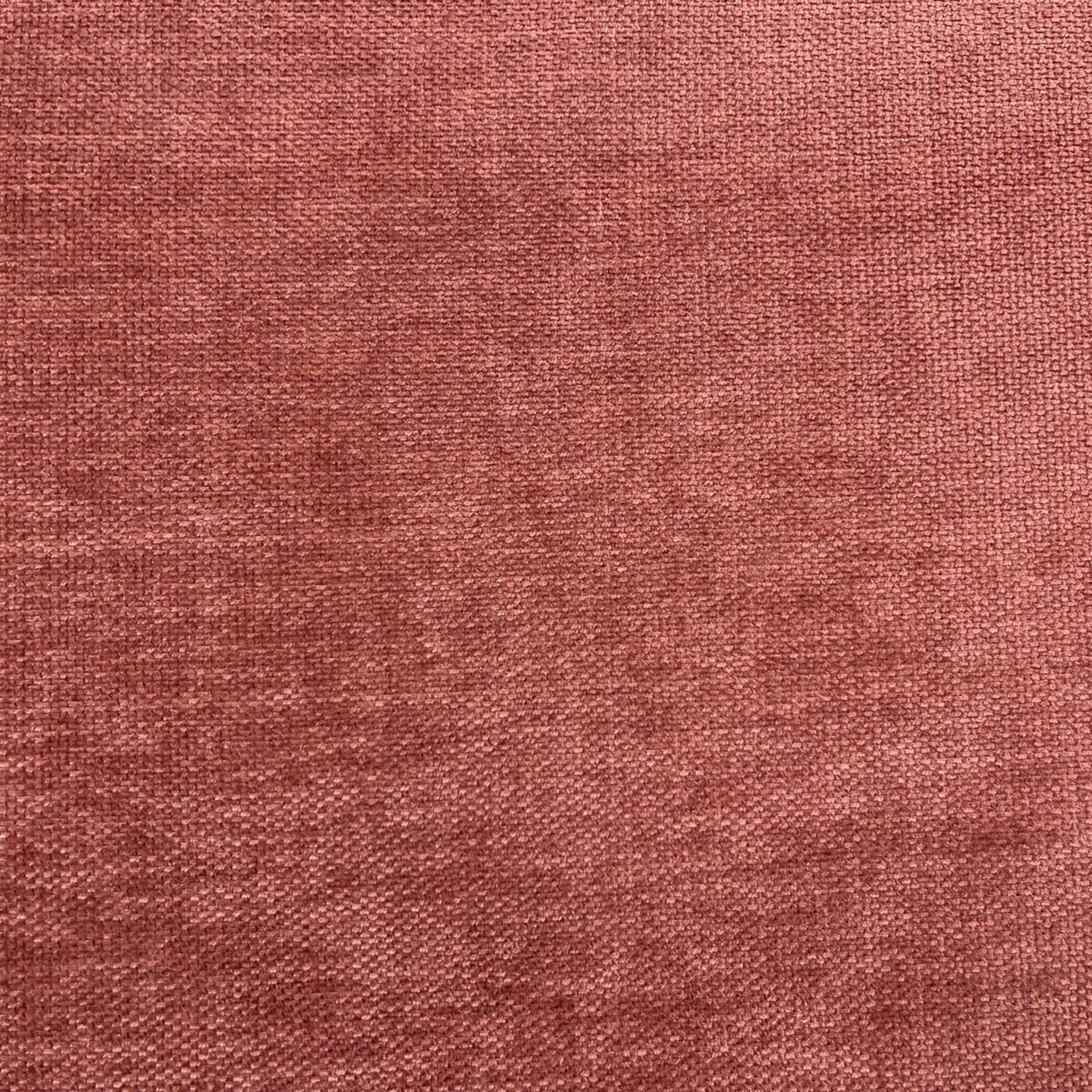pink plain velvet-chenille fabric from Cristina Marrone
