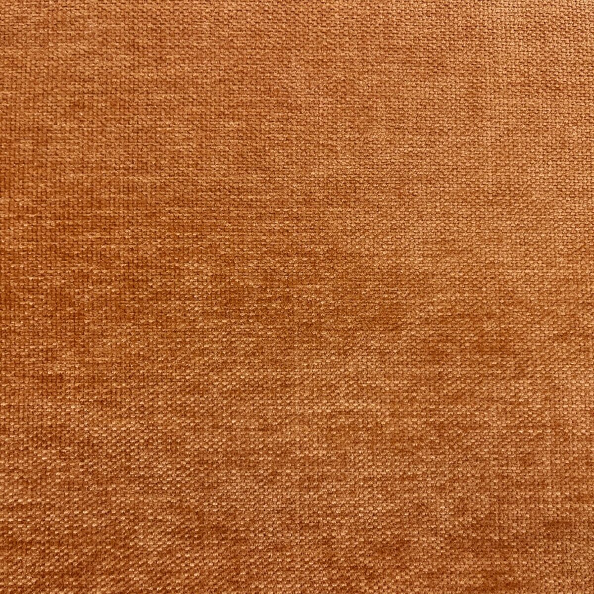 Messina Fabric - Spice by orange plain velvet-chenille fabric from Cristina Marrone