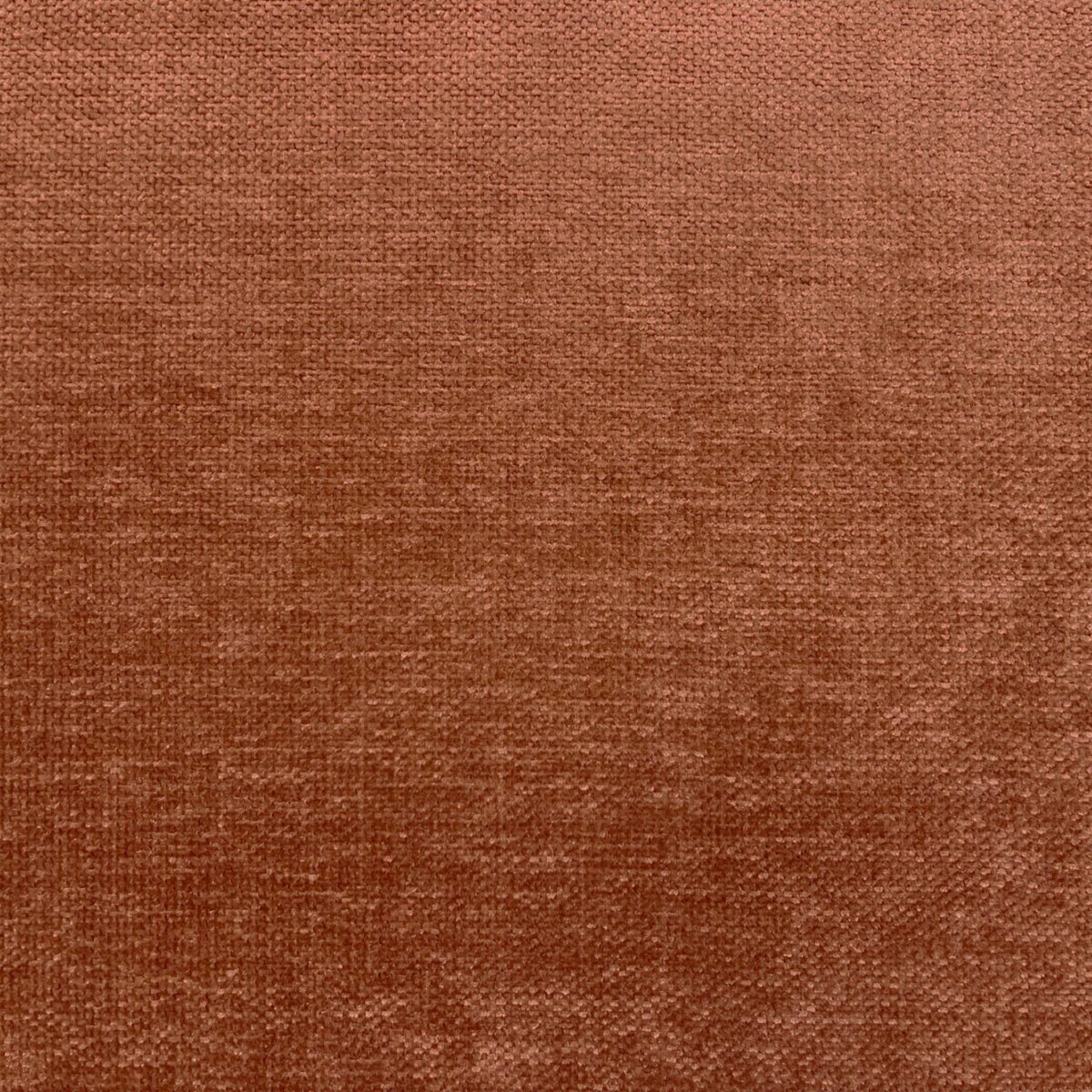 Messina Fabric - Copper by orange plain velvet-chenille fabric from Cristina Marrone