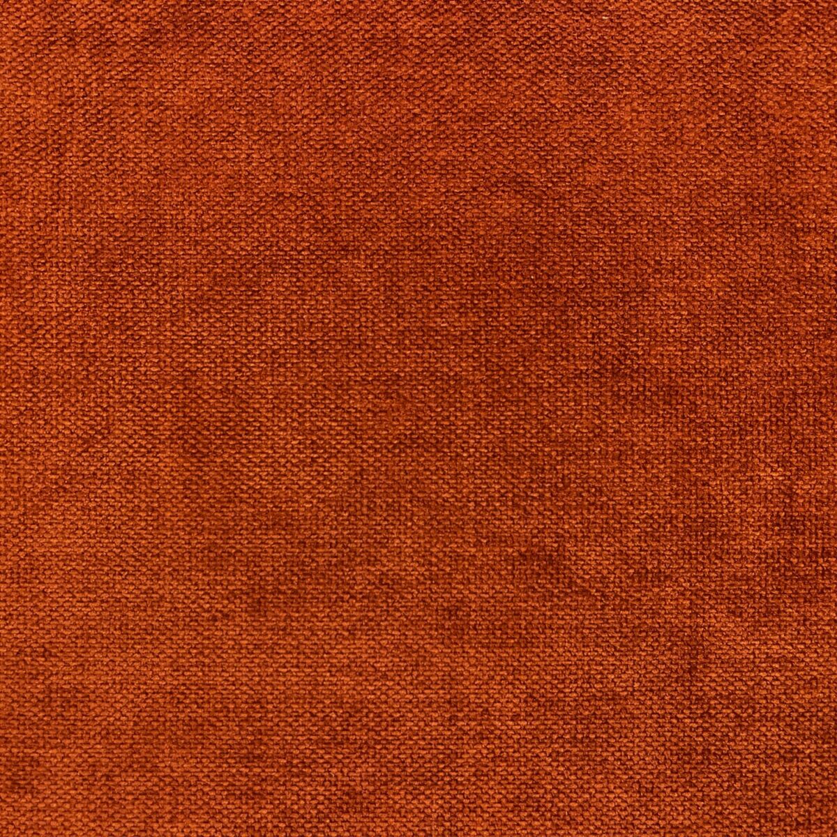 Messina Fabric - Foxy by orange plain velvet-chenille fabric from Cristina Marrone