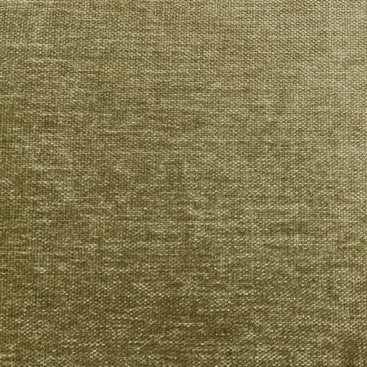 Messina Fabric - Hedge by green plain velvet-chenille fabric from Cristina Marrone