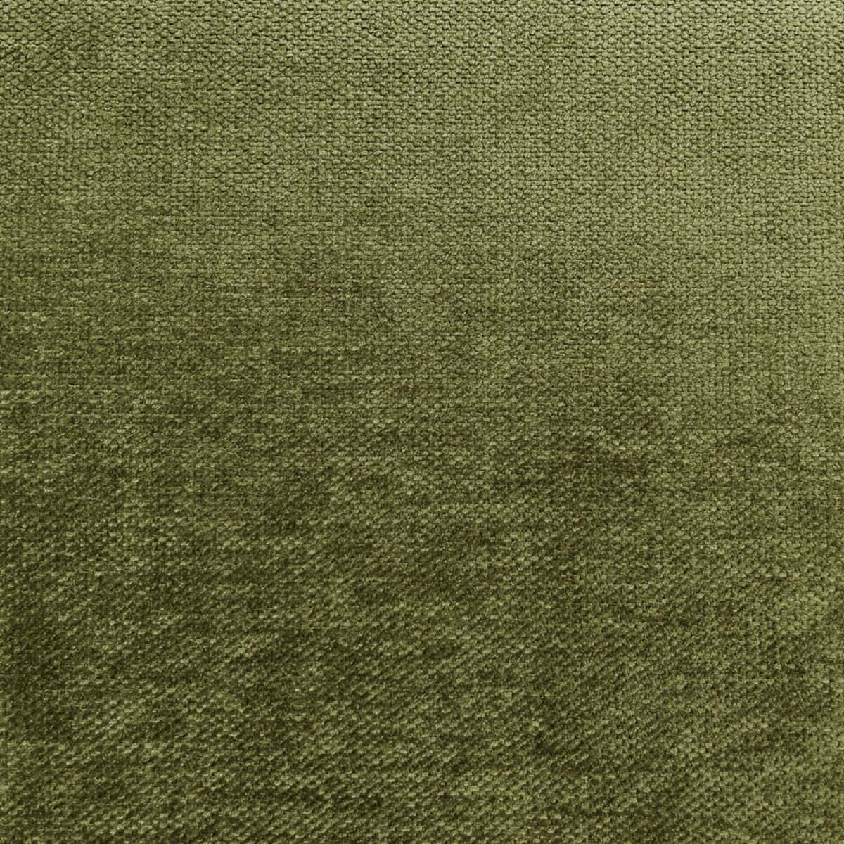 Messina Fabric - Beetle by green plain velvet-chenille fabric from Cristina Marrone