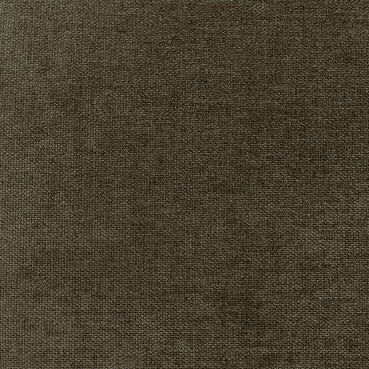 black-grey plain velvet-chenille fabric from Cristina Marrone