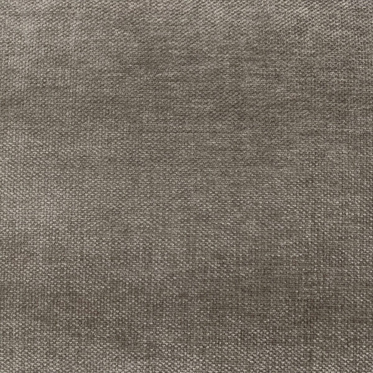 Messina Fabric - Ash by brown plain velvet-chenille fabric from Cristina Marrone