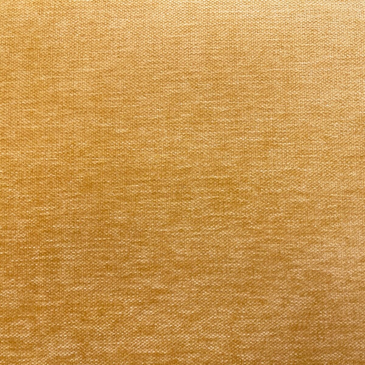 yellow plain velvet-chenille fabric from Cristina Marrone