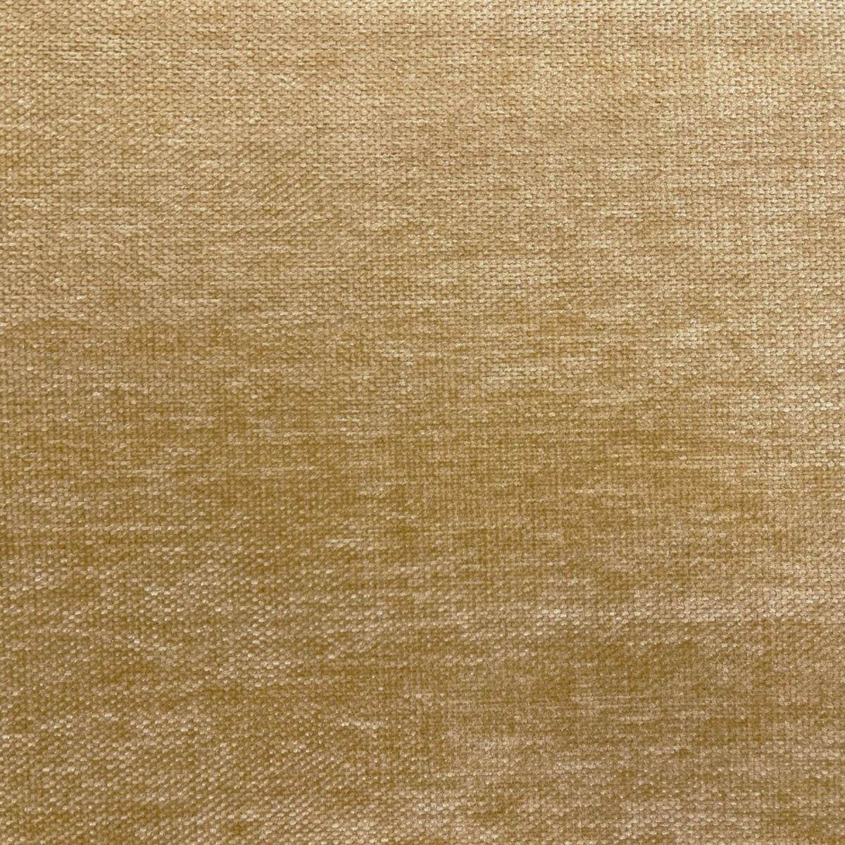 Messina Fabric - Haystack by yellow plain velvet-chenille fabric from Cristina Marrone