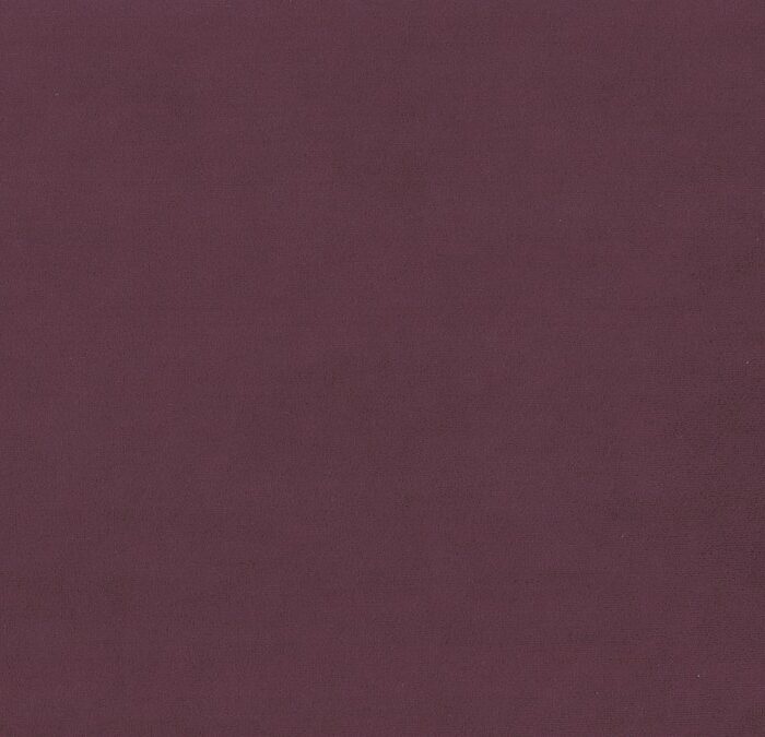 Sapore Fabric - Oxblood swatch